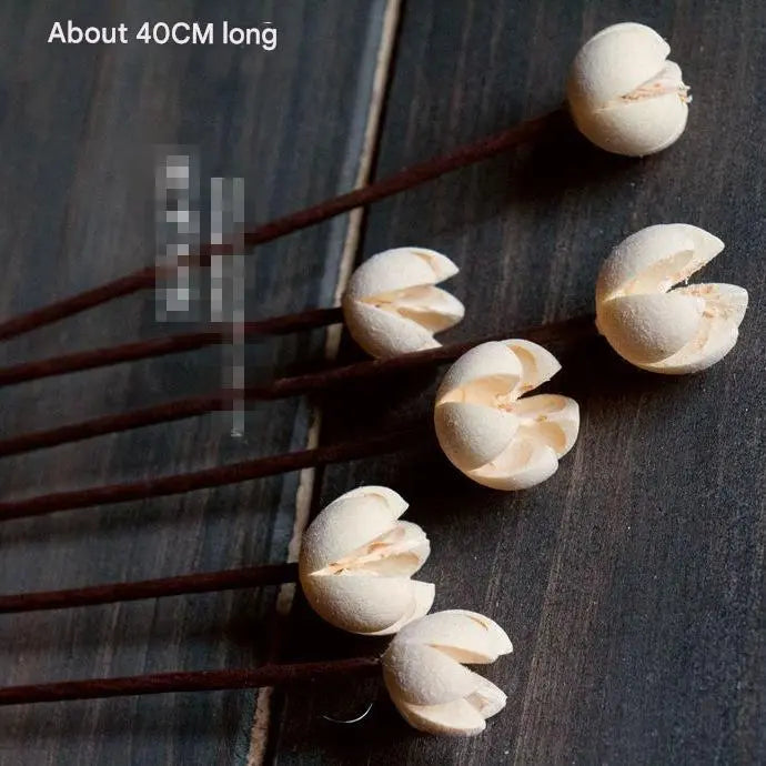 White Open Smile Single Branch with Stem Plant Dried Flowers