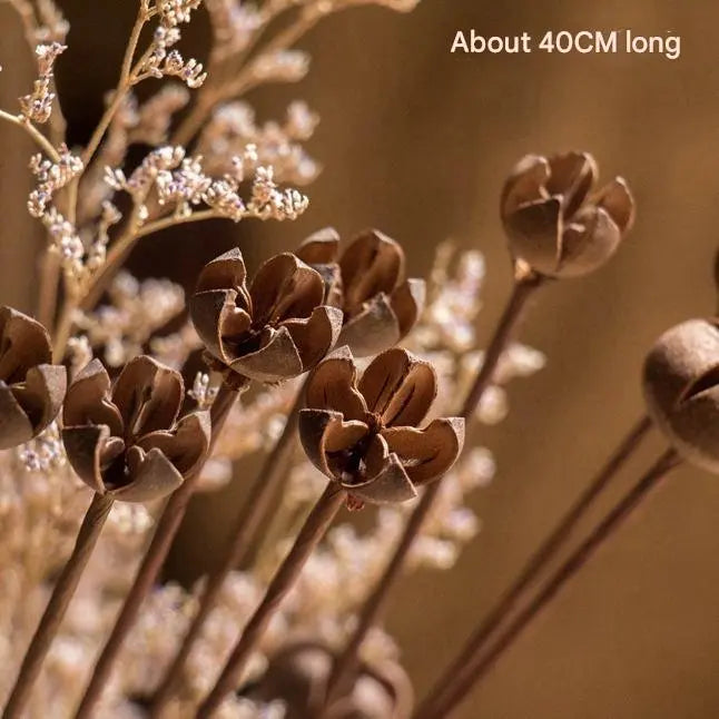 Natural Single-Branch Dried Flower Stem Plant