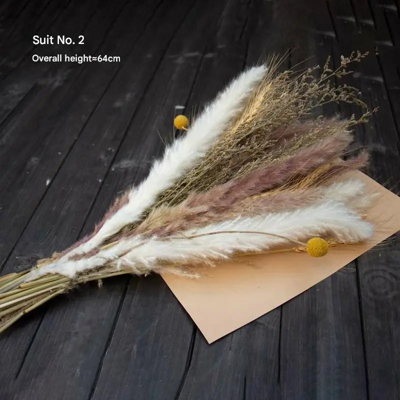 Natural Pampas Reed Dried Flower Bouquet