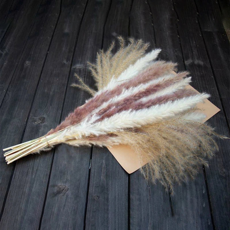 Natural Pampas Reed Dried Flower Bouquet