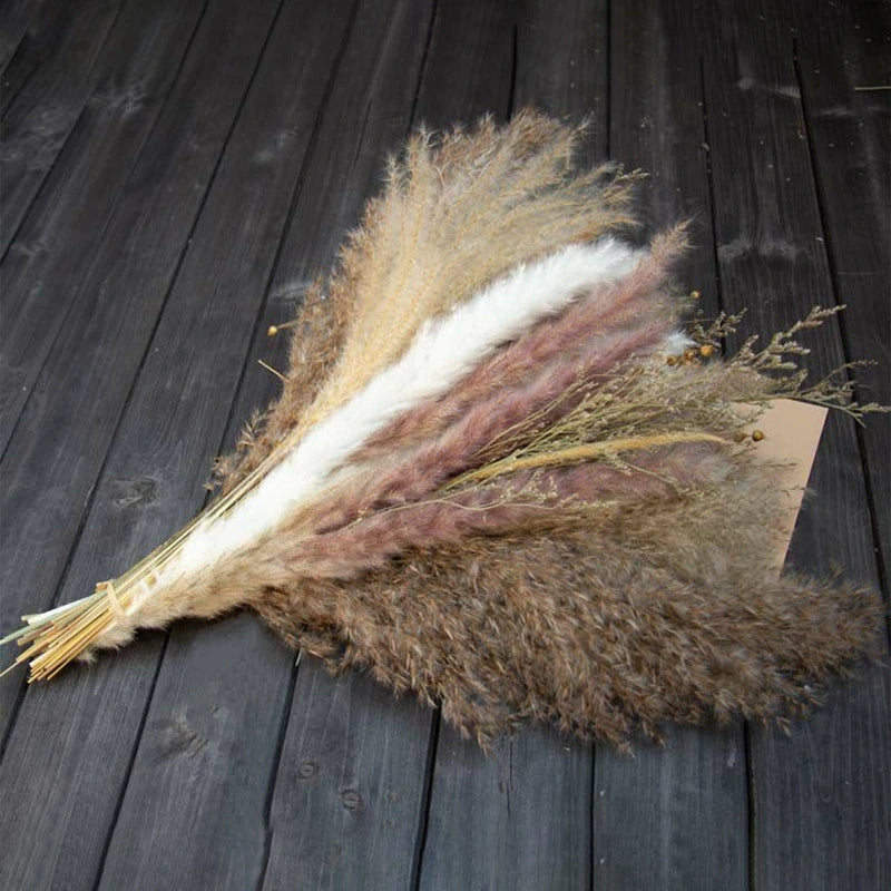 Natural Pampas Reed Dried Flower Bouquet