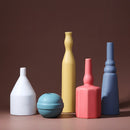 Morandi Frosted Matte Designer Vase